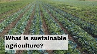 What is sustainable agriculture [upl. by Arianna]