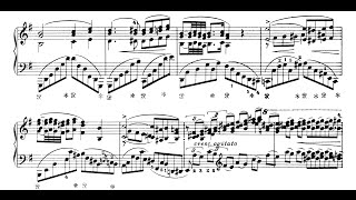 Liszt Reminiscences de Norma Tozer [upl. by Manouch]