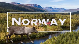 TOP 10 Best Places to Visit in Norway  The ULTIMATE Norway Travel Guide Video [upl. by Adriena138]