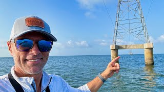 These Power Lines LOADED With Fish [upl. by Ardaid]