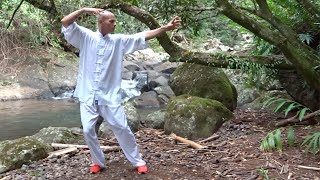 Les 18 mouvements du Tai Ji Qi Gong  Forme 1 or Tai Chi Qigong 18 Shibashi  Set 1 [upl. by Ahsyia768]