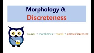 Morphology Discreteness [upl. by Lot]