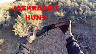 Jackrabbit Hunting Nevada  22 LR Rabbit Hunt [upl. by Freida]