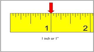 How to Read a Ruler [upl. by Larsen]