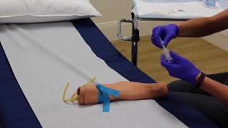 Phlebotomy  Training Video [upl. by Kristopher910]