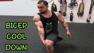 5 Minute Bicep Static Stretching Routine  Cool Down [upl. by Odel623]