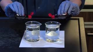 Diffusion and Osmosis  For Teachers [upl. by Airet]