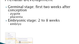 Psychology 101 Prenatal Development [upl. by Zoellick]