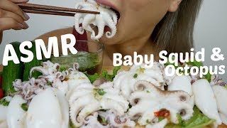 Baby Squid amp Baby Octopus  ASMR Relaxing Eating Sounds  NE Lets Eat [upl. by Rubbico]