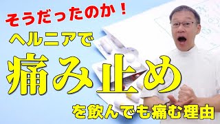 ヘルニアで痛み止めを飲んでも症状が変わらない方に知って欲しい３つのポイント [upl. by Gnilrac796]