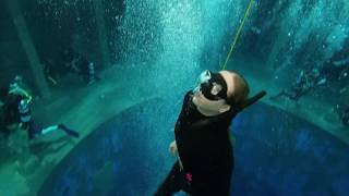 Freediving im Dive4Life Tauchturm Siegburg 2020  Deutschlands tiefster Pool [upl. by Ylil]