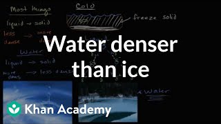 Liquid water denser than solid water ice  Biology  Khan Academy [upl. by Aivitnahs]