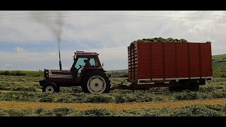 Silage 2022  Clancy  Watch the driver Best sounds youll hear all day [upl. by Haididej]