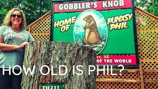 Visiting Gobblers Knob Punxsutawney Pennsylvania Groundhog Day [upl. by Omar]