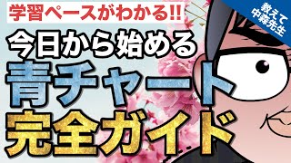 【数学の悩み解決】今日から始める青チャート 学習ペースを完全解説《一問一答》教えて中森先生 [upl. by Teirtza]