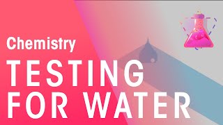 Testing For Water  Chemical Tests  Chemistry  FuseSchool [upl. by Cowan]