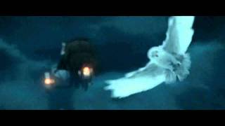 Hedwigs Death Scene in Harry Potter and the Deathly Hallows Part 1 HD [upl. by Mosora]