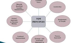 Total Quality Management [upl. by Urdna]