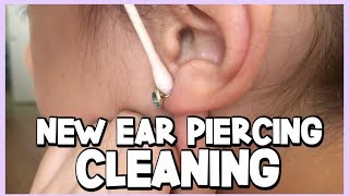 HOW TO CLEAN YOUR NEWLY PIERCED EARS  Ear Piercing Aftercare [upl. by Halonna]