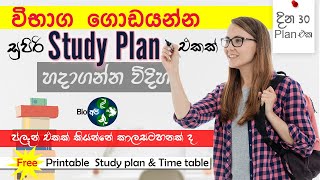 Study Plan එකක් හදන්නේ මෙහෙමයි  How to make Time Table and Study Plan  30 days Tips from Bio Api [upl. by Viridi]