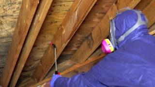 MoldX2 Kills Mold in Crawl Spaces and Attics amp Helps Prevent Future Growth [upl. by Gwendolin]