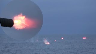 CIWS Gatling Gun amp Mk38 Chain Gun Open Fire On Target Boats [upl. by Airbma679]