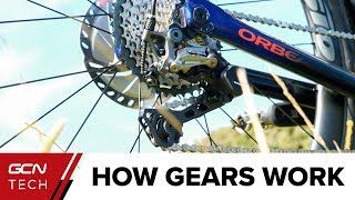 How Do Bike Gears Work  Bicycle Gears Explained [upl. by Limaj]