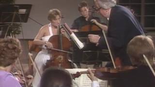 Mozart Divertimento DDur K334 Sandor Vegh Salzburg 1988 [upl. by Ilrahs173]