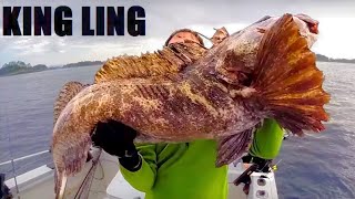 Fishing for Monster Lingcod [upl. by Wadlinger764]