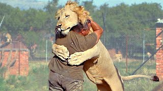 Animals Reunited With Owners After Years [upl. by Hsejar]