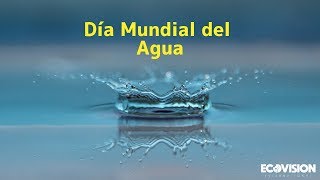 Día Mundial del Agua [upl. by Odab90]