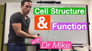 Cell Structure and Function [upl. by Fairley538]