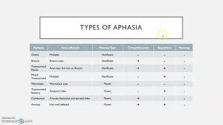 Types of aphasia [upl. by Ahsaeym21]