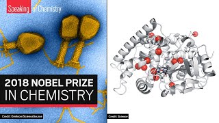 The 2018 Nobel Prize in Chemistry Directed evolution amp phage display — Speaking of Chemistry [upl. by Nitas]