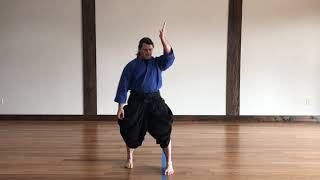 Solo Aikido Practice for Building Muscle Memory [upl. by Cleve932]