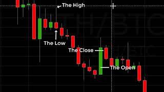 Reading A Crypto Candlestick Chart Basics [upl. by Estele]