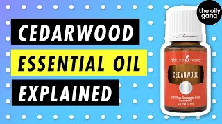 5 Benefits of CEDARWOOD Essential Oil [upl. by Sallie354]