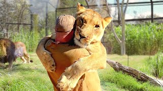 Animals Reunited With Owners After Years [upl. by Kubiak]