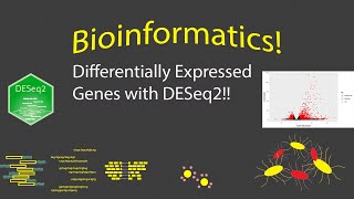 Bioinformatics  Finding Differentially Expressed Genes with DESeq2 [upl. by Heddi]