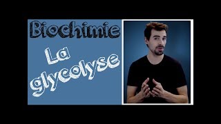 Cours de biochimie Glycolyse [upl. by Venita]