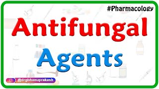 Antifungal agents Pharmacology  Amphotericin B Usmle  Fmge Neet pg [upl. by Drobman]