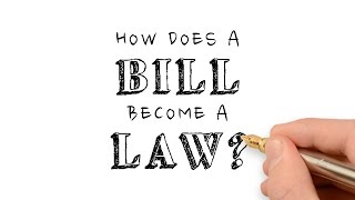 How Does a Bill Become a Law [upl. by Nagiam]