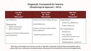 Anemia Lesson 1  Diagnostic Frameworks [upl. by Anitselec72]