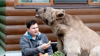 Incredible Family That Lives With A Bear [upl. by Evetta]