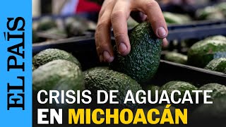 MÉXICO  La crisis de aguacate en Michoacán  EL PAÍS [upl. by Irihs]