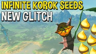 NEW Infinite Korok Seeds Glitch in Breath of The Wild Updated 2019 Tutorial [upl. by Nwahsyt]