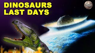 A Breakdown of the Asteroid That Wiped Out the Dinosaurs [upl. by Kusin]