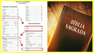 Como Ler a Bíblia Sequencia de Leitura Bíblica para Começar a Ler e Entender a Bíblia Corretamente [upl. by Annhoj]