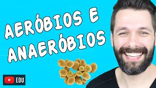 ORGANISMOS AERÓBIOS E ANAERÓBIOS  Biologia com Samuel Cunha [upl. by Kennan]