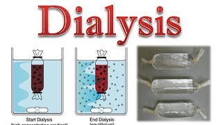 Protein purification  protein dialysis [upl. by Heron452]